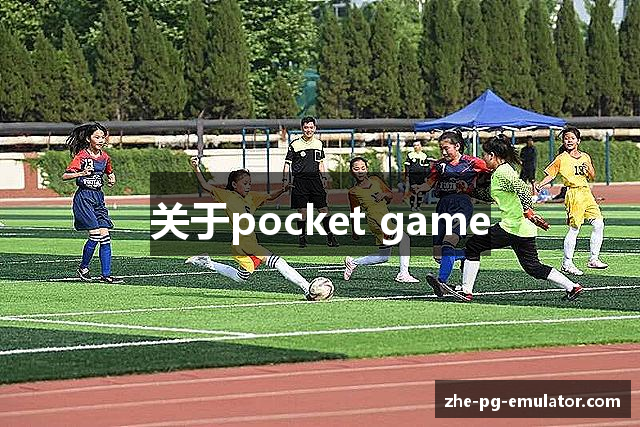 关于pocket game